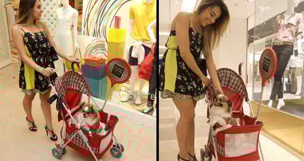 Shopping lança aluguel de carrinhos para cães e gatos