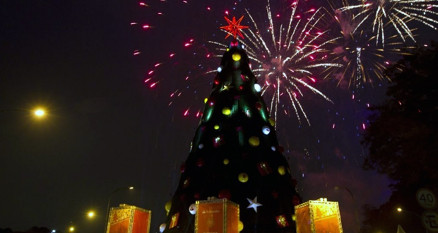 Viagens: Árvore de Natal do Ibirapuera 2015