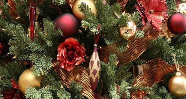 7 maneiras de reciclar sua árvore de natal natural