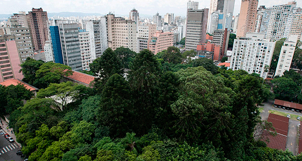 Viagens: Prefeitura de SP autoriza criação do Parque Augusta