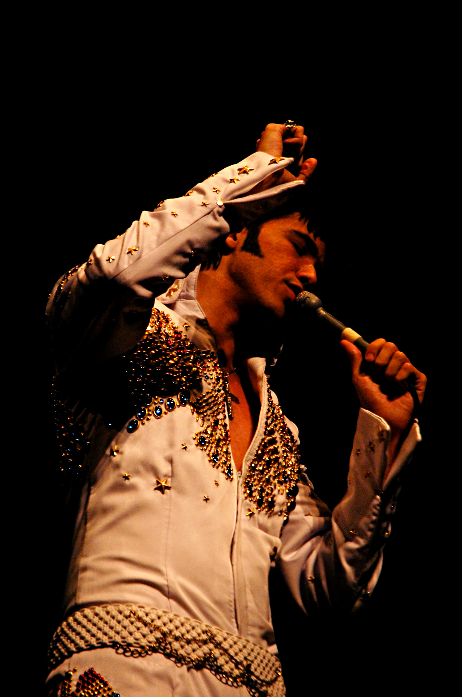 Arte: Elvis in Concert