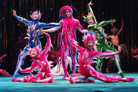 Cirque du Soleil Varekai