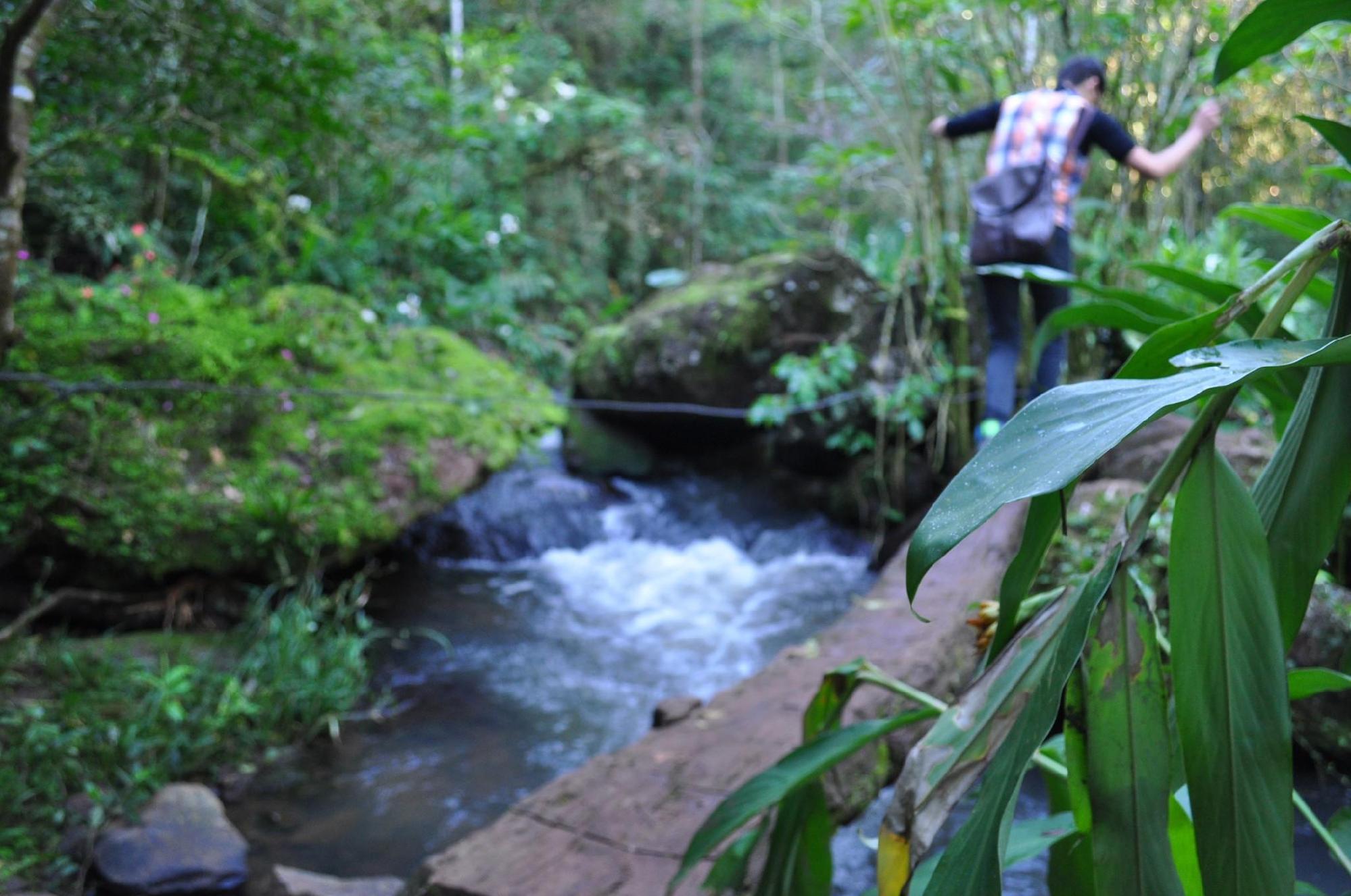 Viagens: Belezas da Rota Vale do Uruguai