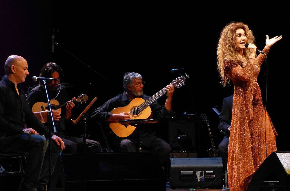 Música: Aconchegante, Theatro Municipal atrai fãs de música durante a Virada Cultural 2013