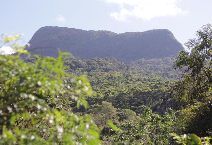 Na Cidade: L'Impanatto Ambientale