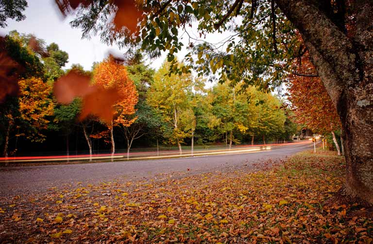 Viagens: Cidades do Rio Grande do Sul para visitar no inverno