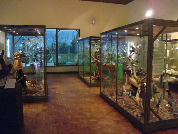 Viagens: Museus em Campinas