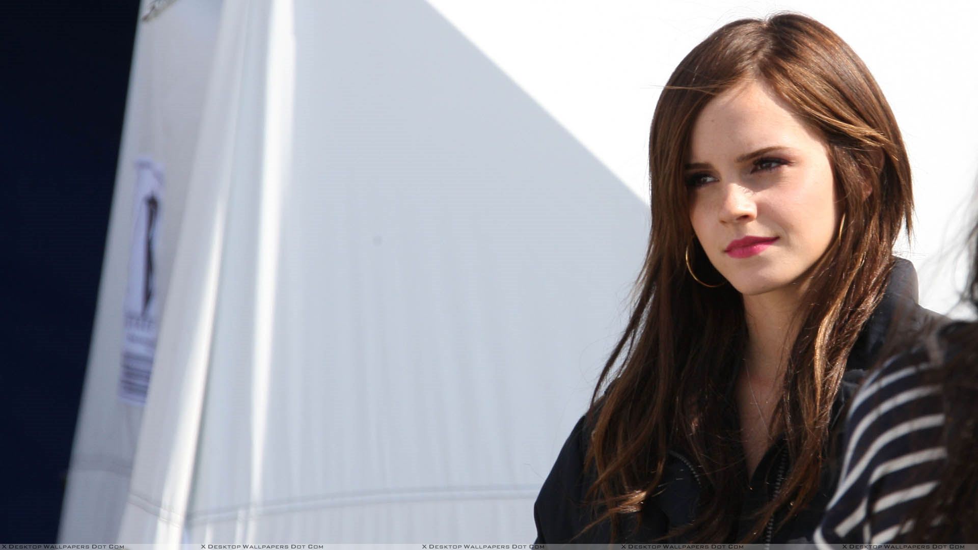 The Bling Ring – A Gangue de Hollywood