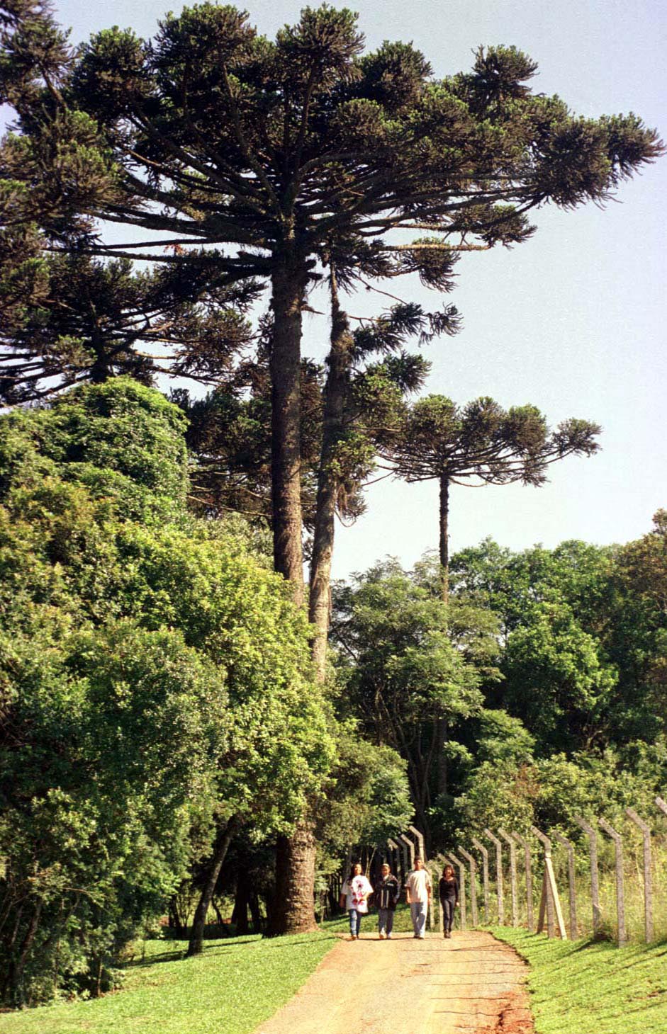 Viagens: Parque do Trabalhador