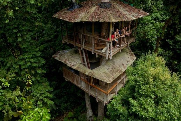 Casa na árvore também é coisa de gente grande