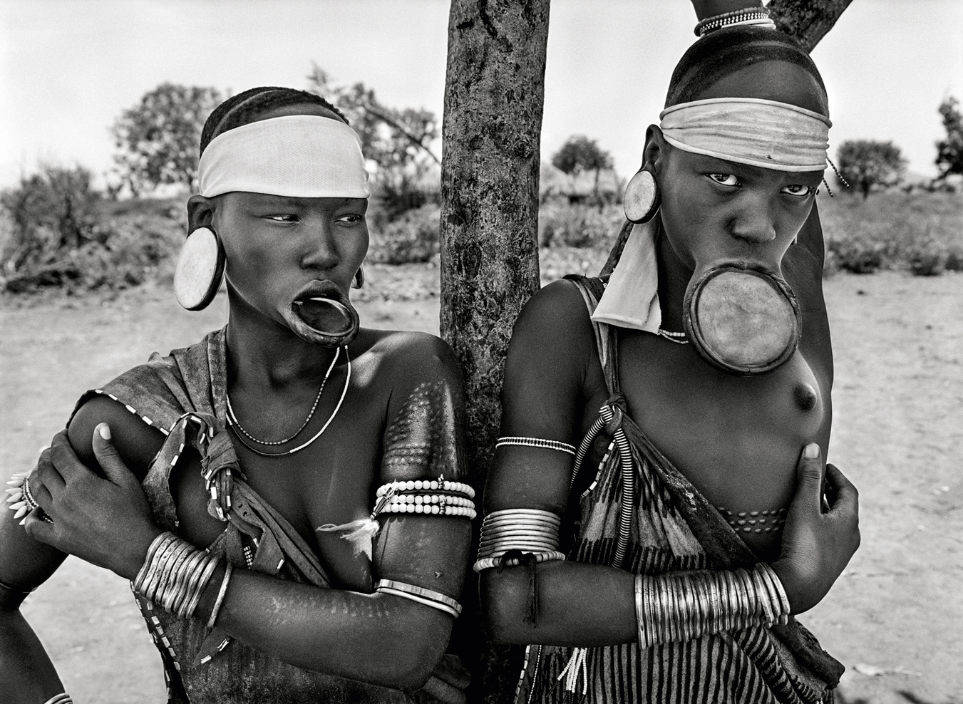 Arte: Genesis - Fotografias de Sebastião Salgado