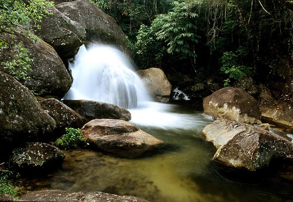 Parque Estadual da Serra do Mar