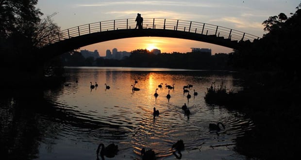 Viagens: Como aproveitar um dia no parque