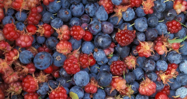 Saúde e Bem-Estar: Gojiberry, goldenberry, cranberry, blueberry: o que há de especial nesses alimentos?