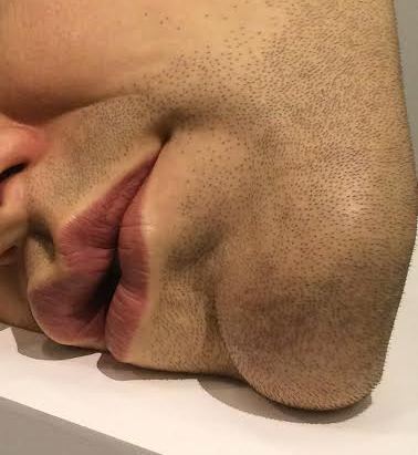 Fotos da exposição de Ron Mueck na Pinacoteca