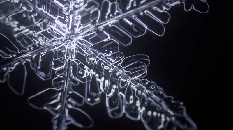 Arte: Incrível timelapse da formação de flocos de neve