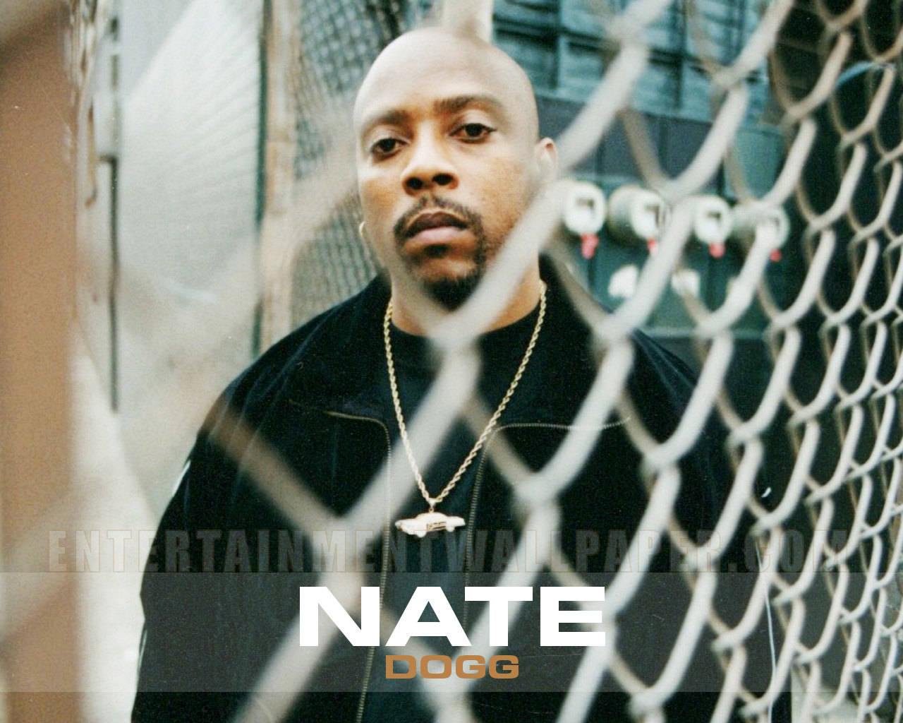 Shows: As 10 melhores participações de Nate Dogg