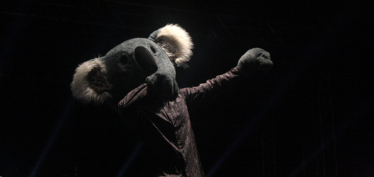 Coala Festival