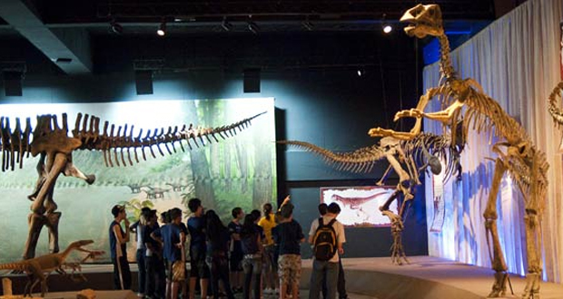 Museu de Ciências Naturais