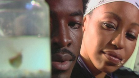 Melhores filmes dos países da África da Copa do Mundo de 2014