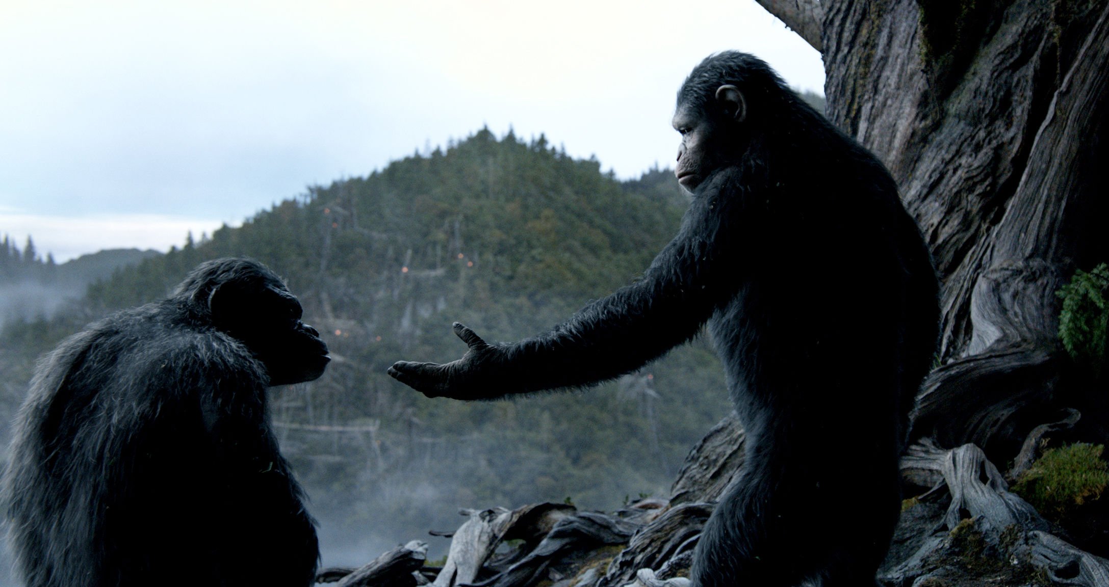Cinema: 5 Motivos Para Ver Planeta dos Macacos: O Confronto 