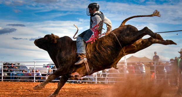 Viagens: Rodeios em São Paulo 2014 