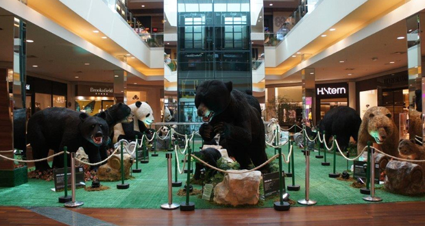 Compras: Ursos pelo Mundo