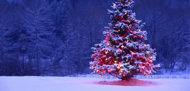 25 de dezembro (sexta-feira): Natal
