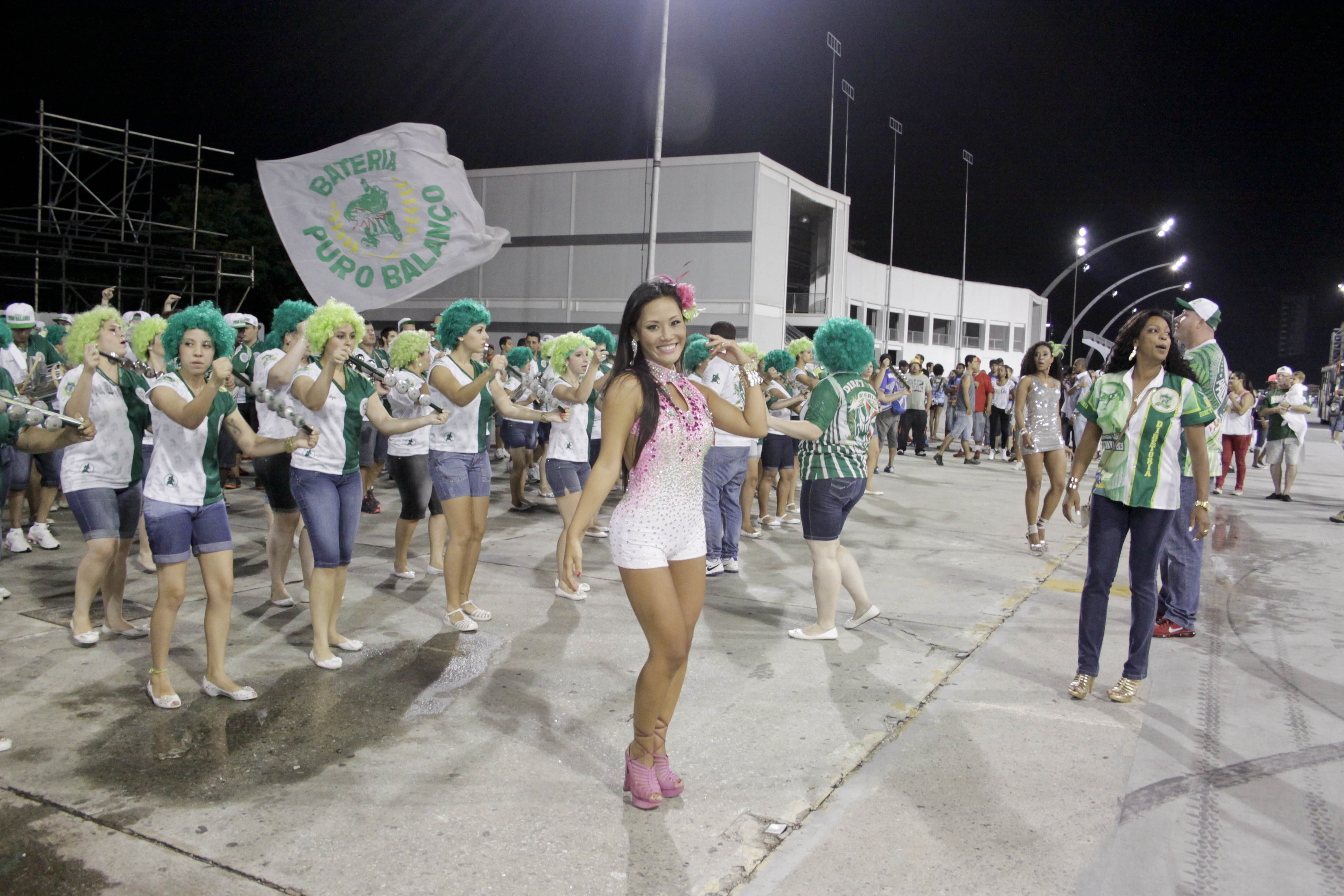 Viagens: Ensaios das escolas de samba de SP para o Carnaval 2015