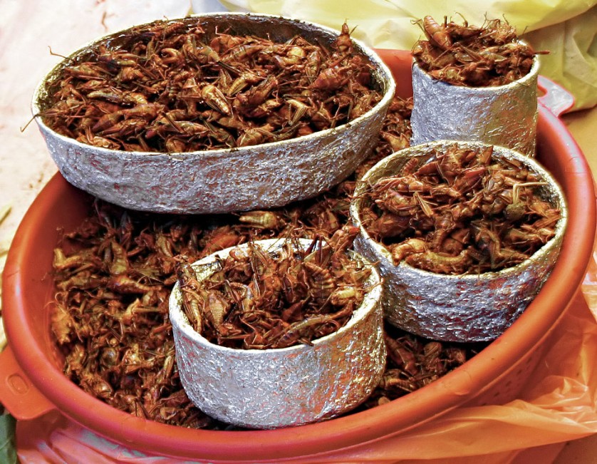 Chapulines