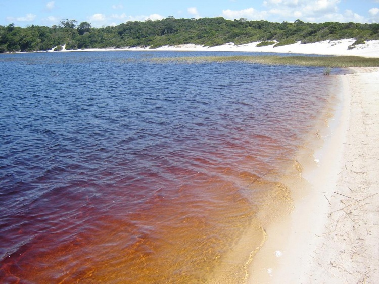 Lagoa Coca-Cola - Baía Formosa/RN