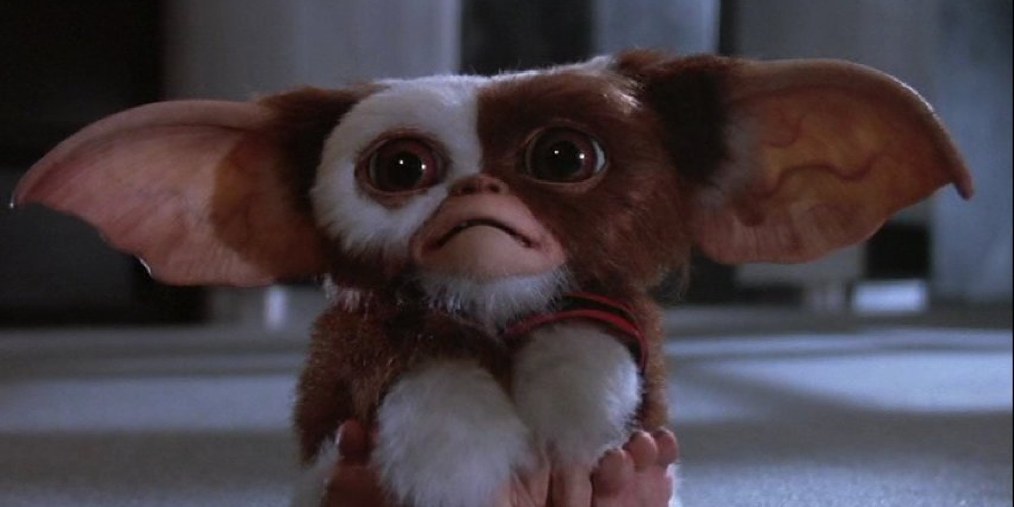 GREMLINS