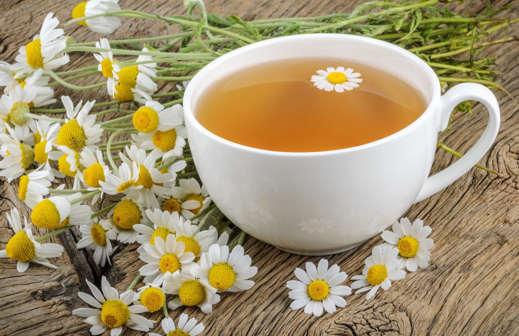 Saúde e Bem-Estar: Guia de chás: conheça os melhores para cada momento da sua vida