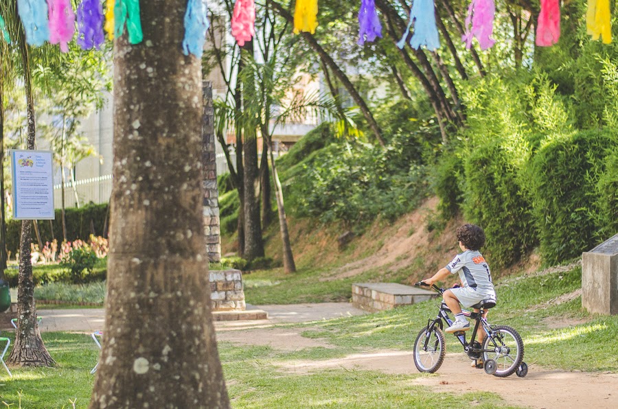 Parque da Cidade Nova