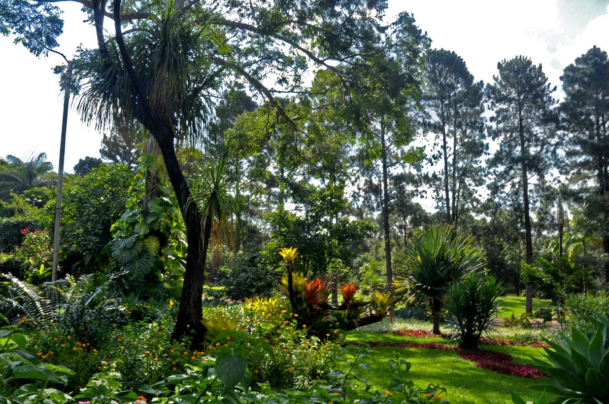 Parque Municipal Jacques Cousteau