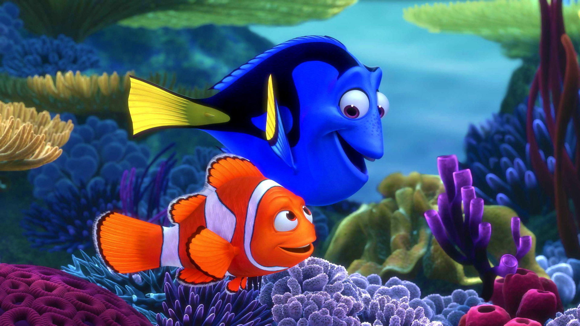 6 - Procurando Nemo