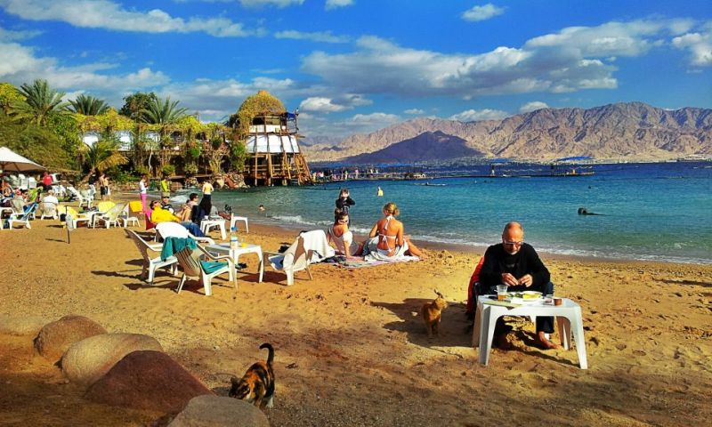 Dolphin Reef - Israel