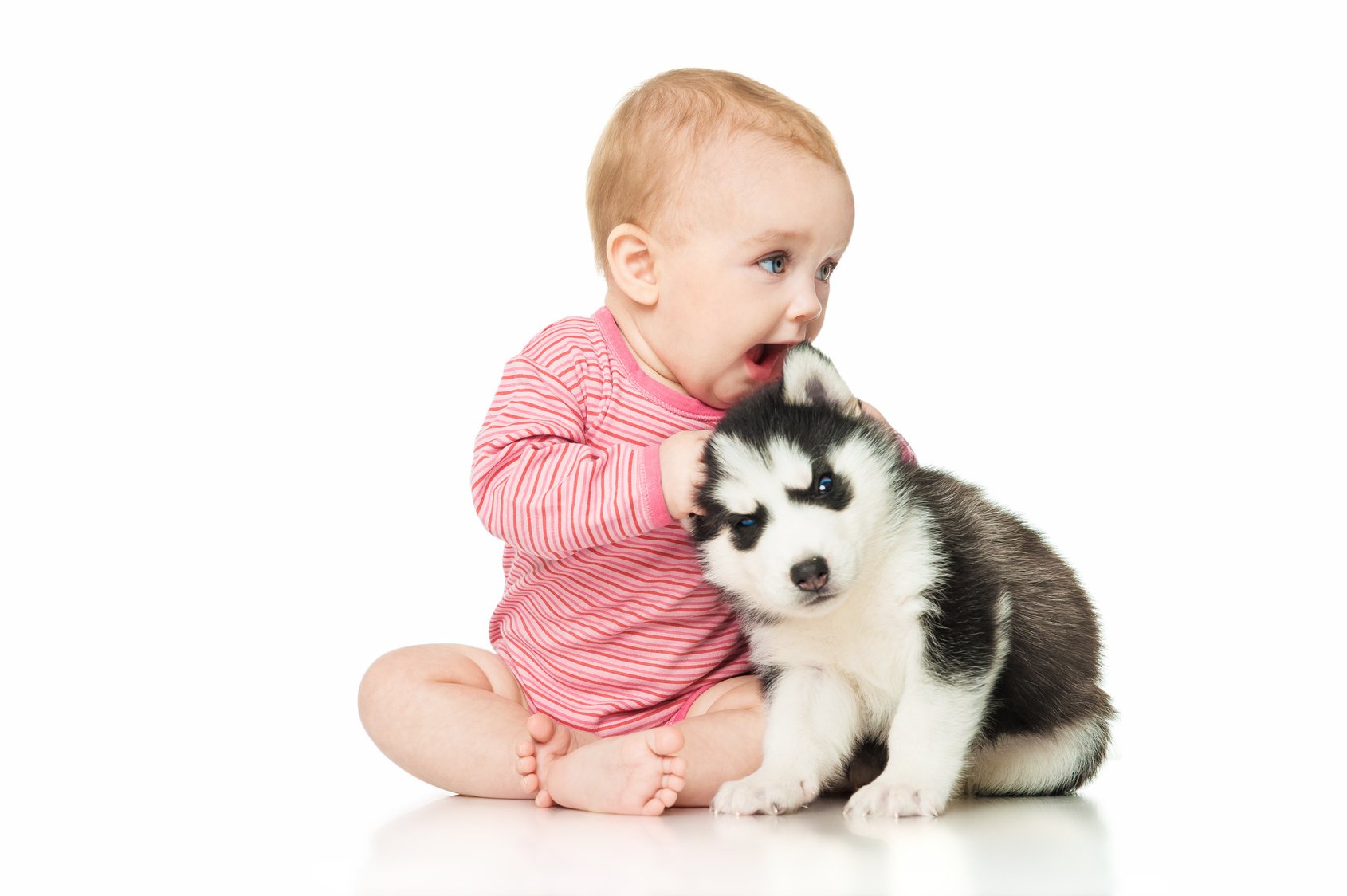 4 bons motivos explicam porque seu filho deve crescer com um bicho de estimação