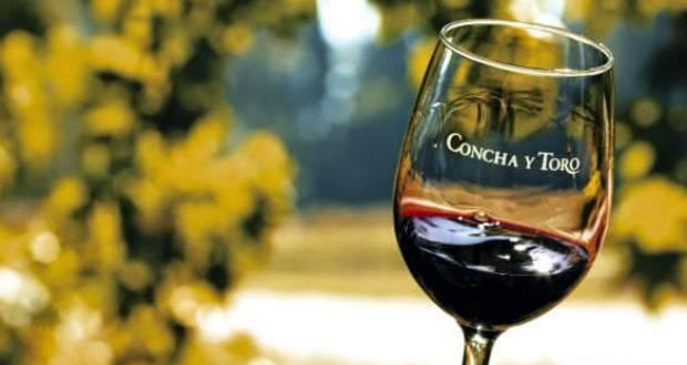 8 vinícolas na América do Sul que você precisa conhecer