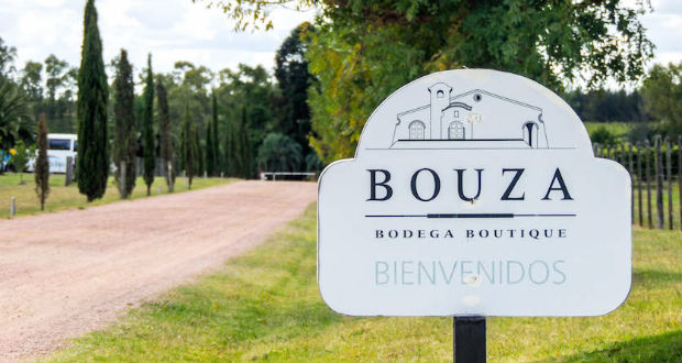 Bodega Bouza | Montevidéu, Uruguai