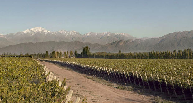 Bodega Norton | Mendoza, Argentina