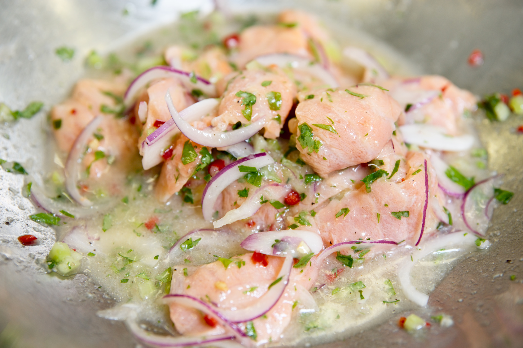 Ceviche de Salmão