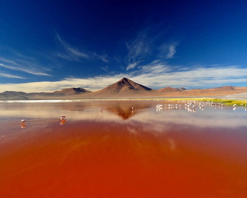 Laguna Colorada - Bolívia