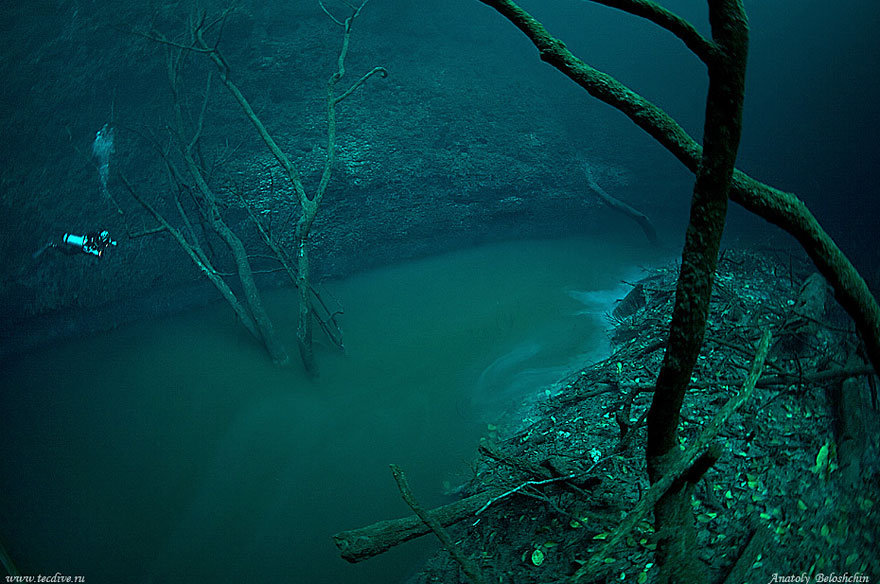 Cenote Angelita - México 