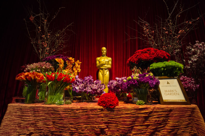 TV: Transmissão do Oscar 2015 na TV e internet