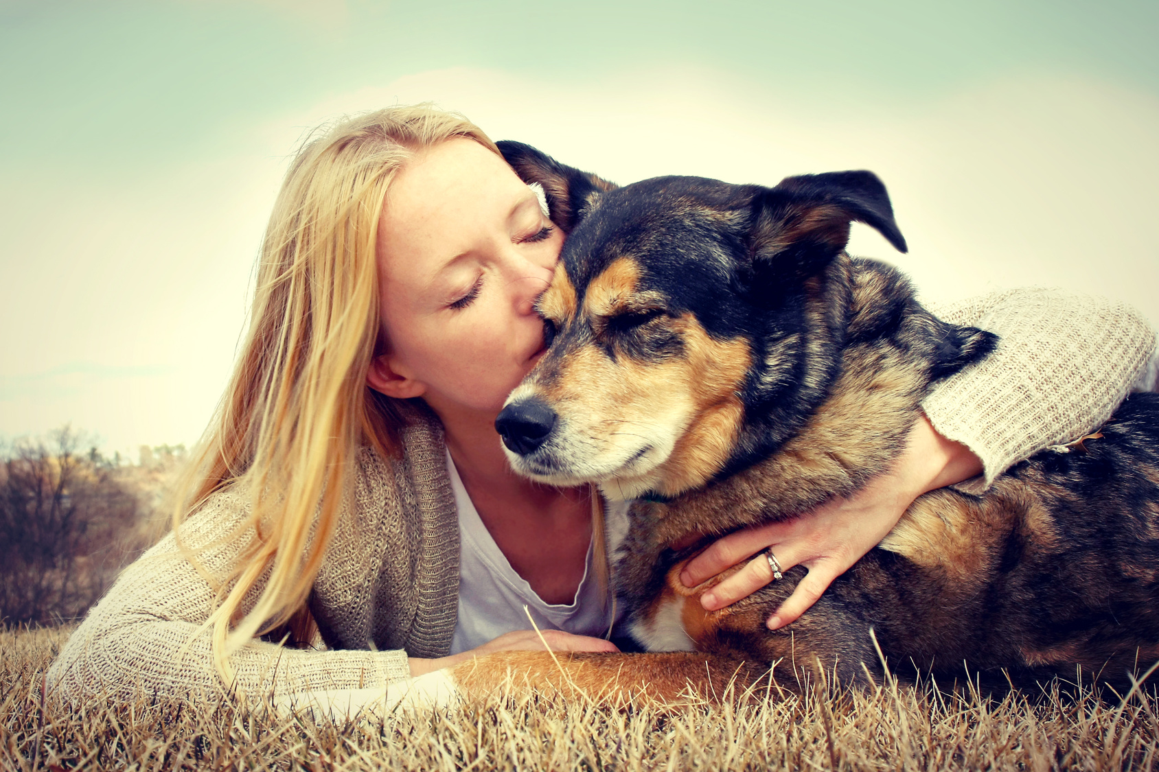 Animais de Estimação