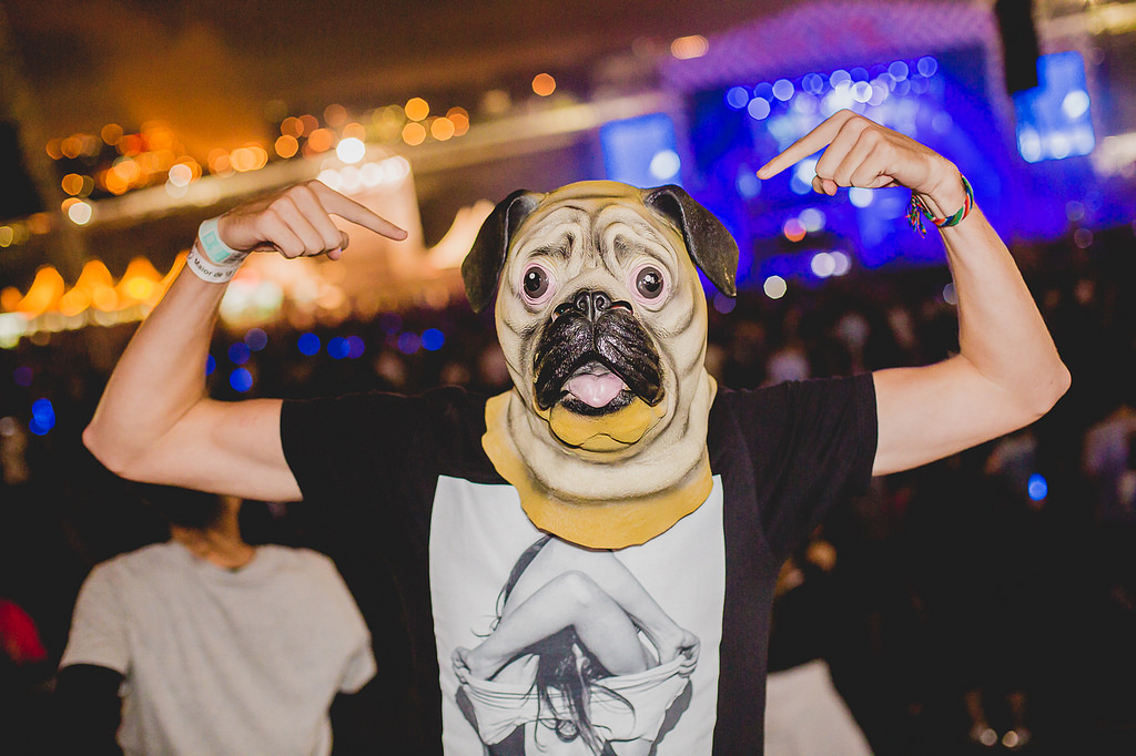 Shows: Confira como foi o Lollapalooza 2015 em 40 fotos