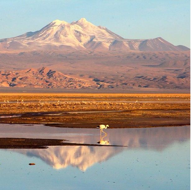 Deserto do Atacama