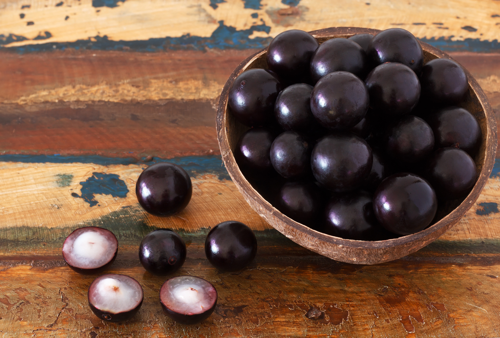 JABUTICABA