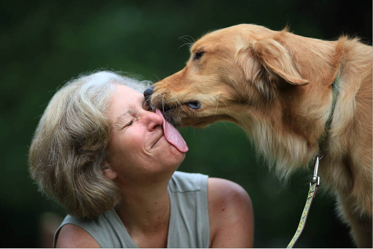 Comportamento: 14 coisas que só quem tem bicho de estimação pode entender